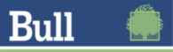 Bull