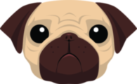 Pug