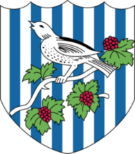 West Bromwich Albion F.C.