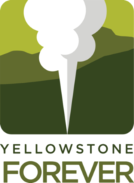 Yellowstone Forever