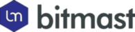 Bitmast