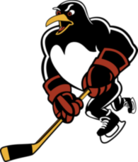 Wilkes Barre Scranton Penguins