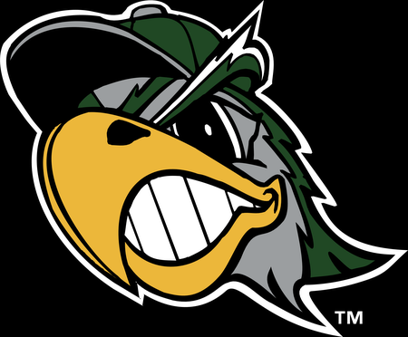 South Bend Silver Hawks