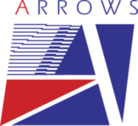 Arrows F1 64014
