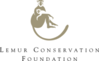 Lemur Conservation Foundation