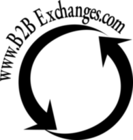 B2B Exchanges