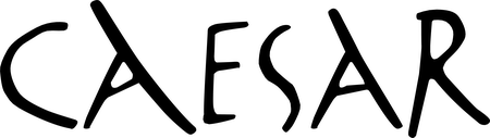 Caesar Groep