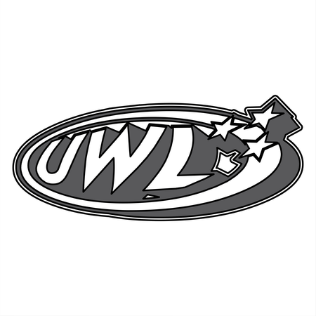 Uwl Surfboards