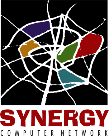 Synergy Computer Network