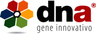 dna s.r.l.