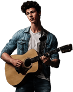 Shawn Mendes