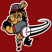 Billings Mustangs 58789