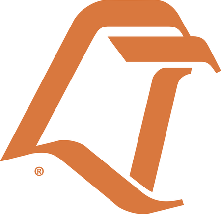 Bowling Green Falcons