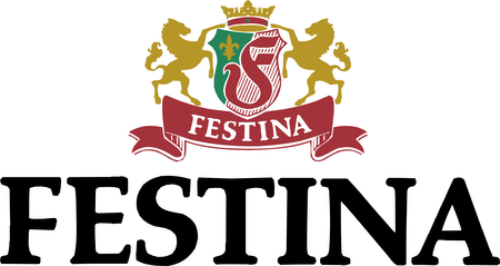 Festina Watches