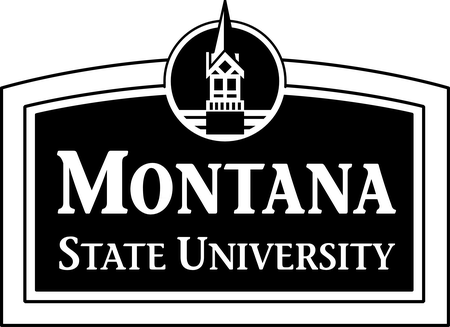Montana State University