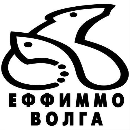 EffimmoVolga