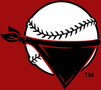 Quad City River Bandits