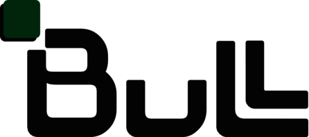 Bull Computer 