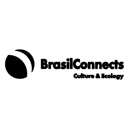 Brasilconnects