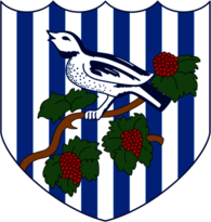 FC West Bromwich Albion (90's logo)