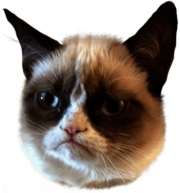 Grumpy Cat Head