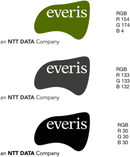 everis NTT DATA