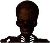 Scary Skull Halloween