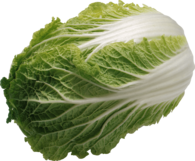 Lettuce Salad