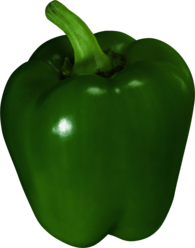 Green Bell Pepper