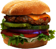 Gourmet Burger Close Up