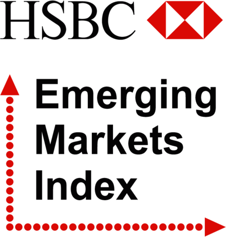 HSBC EMERGING MARKETS INDEX