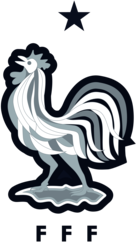 Federation Francaise de Football