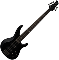 Bass Guitar