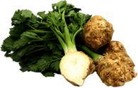 Celery Root