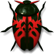 Ladybug Dark Green and Pink