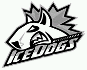 Mississauga Steelheads