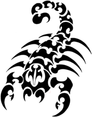 Large Scorpion Tattoo