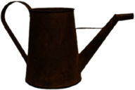 Rustic Watering Can