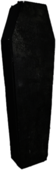 Standing Black Coffin
