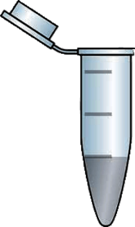 Plastic Vial With Attached Top