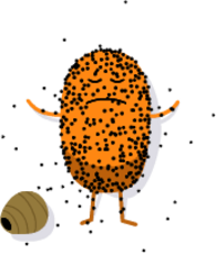 Doofus Stung By Wasps