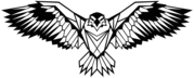 eagle bird 