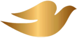 Dove Image 