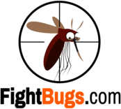 Fightbugs.com