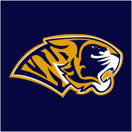 Autenticos Tigres UANL_