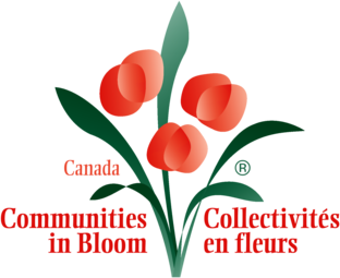 Communities in Bloom