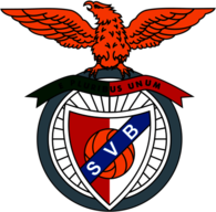 S Viseu e Benfica