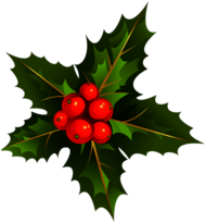 Mistletoe Branch