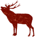 Elk Drawing