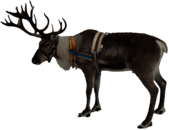 Reindeer Christmas